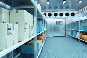 cold chain logistics, fmcg companies, fmcg supply chain​, cold chain supply chain